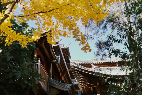 그랜드 졸리 데메이 화수·취위안 (다수이처 지점, 리장 고성)