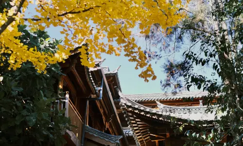 GRANDJOLI大美華宿·翠園(麗江古城大水車)