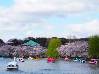 ホテル周辺 ホテルアラマンダ青山の写真