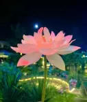 Puzhehei 72 Hou Star Lotus Hot Spring Hotel