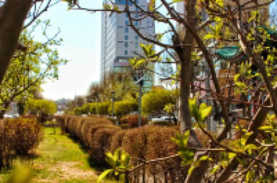 Jack's serviced apartment in the city center