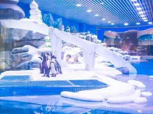 Shanghai Jinqiao Haichang Penguin Resort Hotel