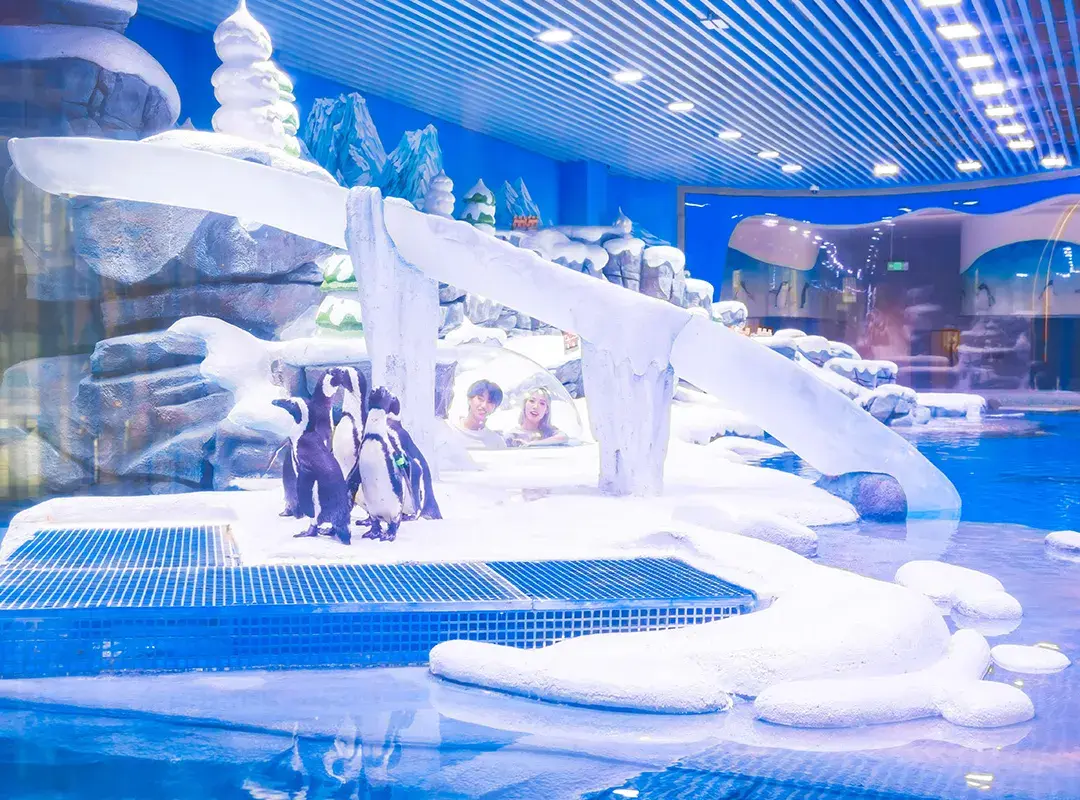 Shanghai Jinqiao Haichang Penguin Resort Hotel - Shanghai