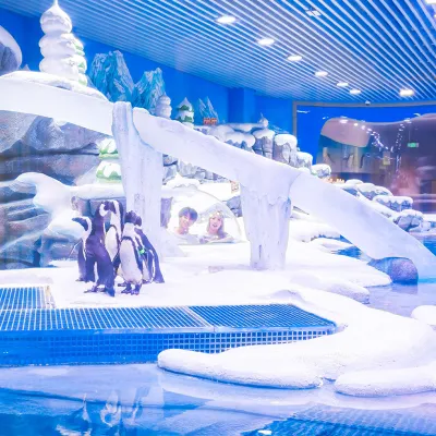 Shanghai Jinqiao Haichang Penguin Resort Hotel Hotels near Shanghai Astronomy Museum