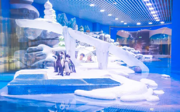 Shanghai Jinqiao Haichang Penguin Resort Hotel Отели рядом с достопримечательностью «Underground Plaza»