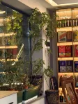 Urumqi Yuanlai Ruyu Homestay Hotels in Urumqi County