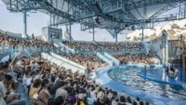 Qingcheng Inn (Danzhou Haihua Island Branch)