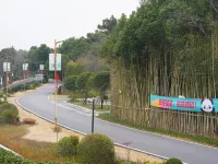 川嵐·畔山小院民宿（岳陽中華大熊貓苑店） - 山景