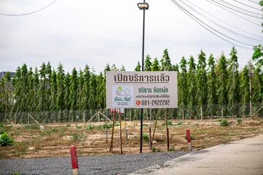 รูปภาพของเค้ง Kheng Chanthaburi