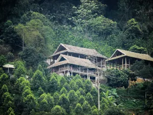 Gia Trang Heian Hoa Binh