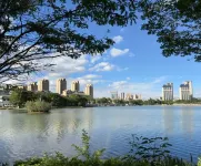 Mile Wanfeng Homestay