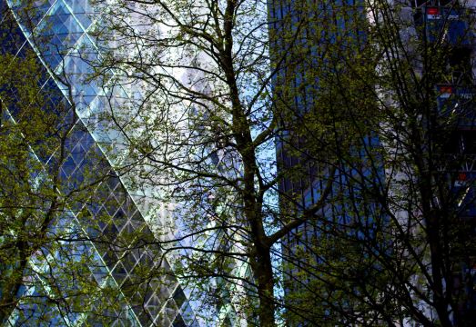 그레이트 세인트 헬렌 호텔