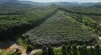 Fuzhou Le'an Tianbao Ecological Park B&B - Mountain view