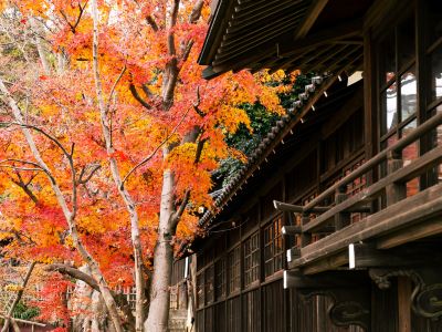 ホテル周辺 松戸グランドホテルの写真