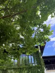 衢州府古県衙中国式旅館（水亭門景区） - ペット同伴可