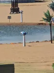 Future Ark · Sand Dream Tengger Desert Star Resort - Beach