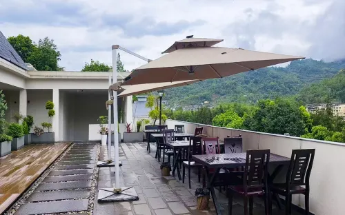 Ya'an Yinqi Guquan Homestay (Zhougong Mountain Tourist Resort)