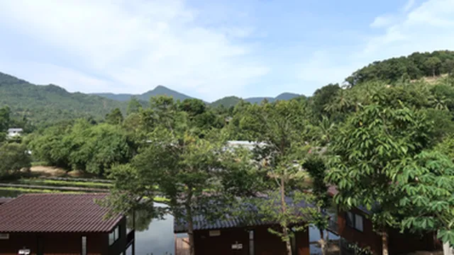 รูปภาพของโคโคนัท เลน ลูล่า