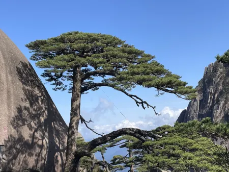 Huangshan Guanzhu Meisu Hotel Отели рядом с достопримечательностью «Huangshan Scenic Area»