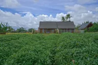 Pondok Raka Ubud - Pensions