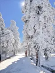 衡陽雲汐南野民宿（南嶽衡山南嶽大廟店） - 山景