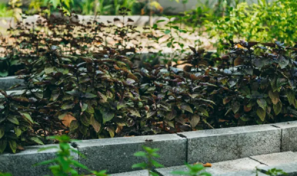 ノンラム エコロッジ Thu Duc College of Technology周辺のホテル