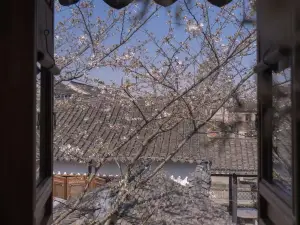 Migliori 50 B&B Boutique a Shanghai