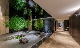 X·Aptism xinyu