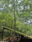 Moye · Shanshan Laichi Sansi Luxury Wilderness Resort Homestay (Liuyang Daweishan)