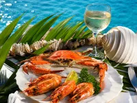 Casa Rex by Sol Resorts 比蘭庫羅區酒店
