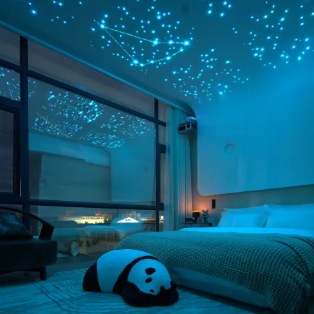 YSY ·Starry Skys Vision Intelligent Hotel(Ruoergai County People's Government Store)