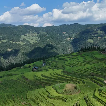 Congjiang Three Families · Field Panoramic Homestay (Jiabang Terraces)