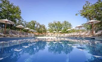 a large outdoor swimming pool surrounded by trees , with umbrellas and lounge chairs placed around the pool at Le Bois d'Imbert