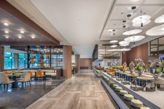 Hampton by Hilton Dongguan Songshan Lake Отели в г. Дунгуань