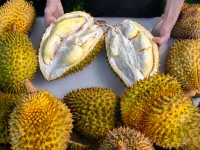Pearl River Garden Hotel  Sanya - servizio colazione