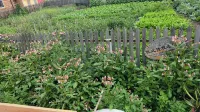 Erguna Wenqiang Travel Homestay Hotels in Linjiang Village