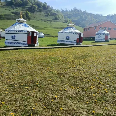 Bateer Yurt (Guanshan Grassland)