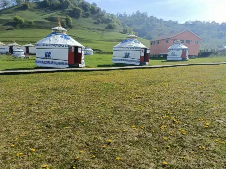 Bateer Yurt (Guanshan Grassland)