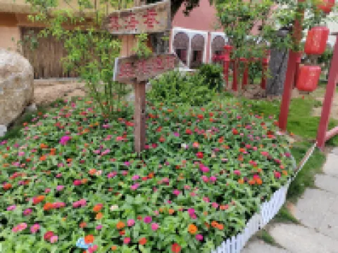 Fudian Hotel (Beihai High-speed Railway Station No.8 Middle School Branch) Hotels in Beihai