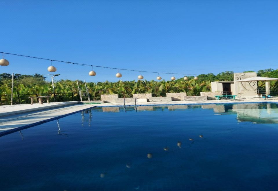 5. 세부 알코이 플..