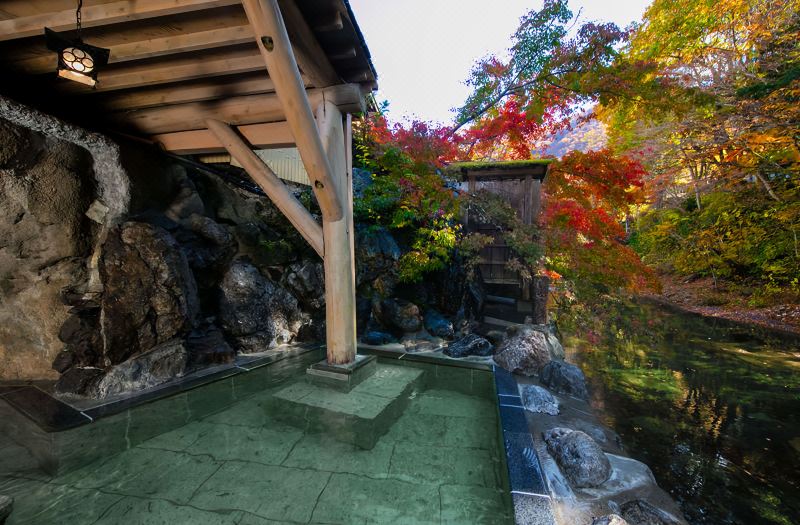 Yunishigawa Onsen Honke Bankyu photo 3