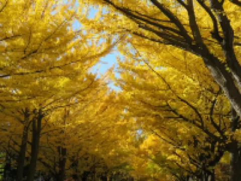 Heights N7 / Vacation Stay 7568