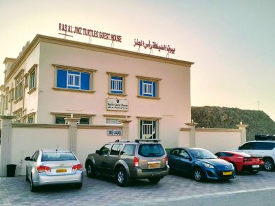Turtle Guest House