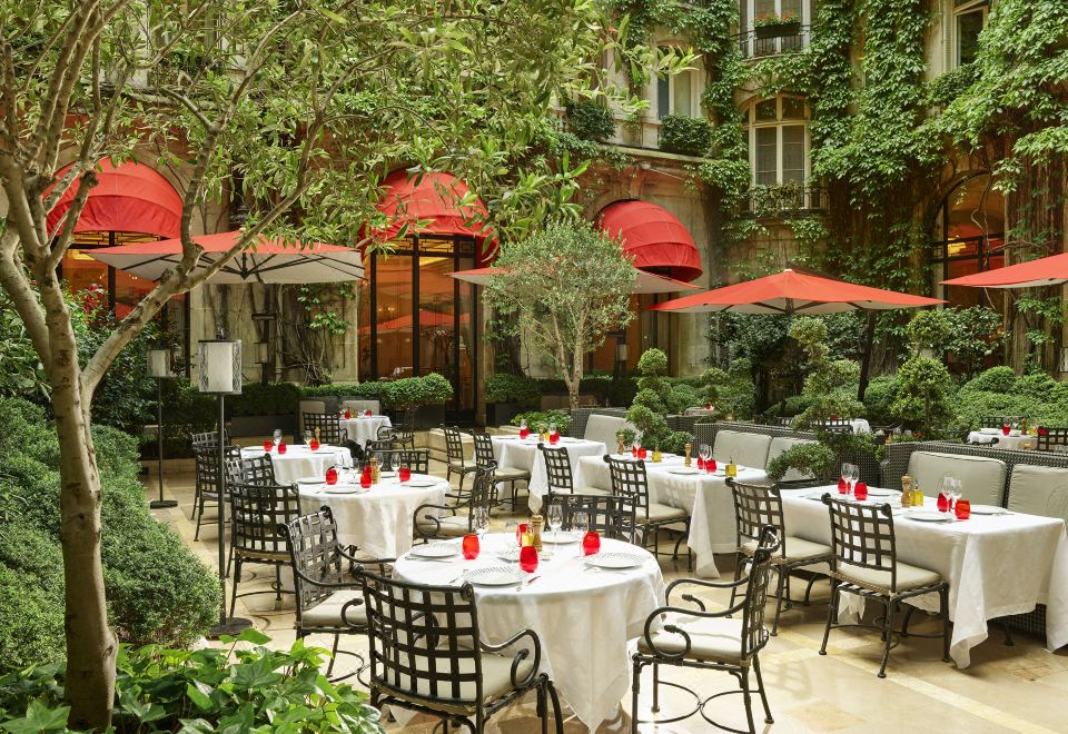 디올 스파 이미지