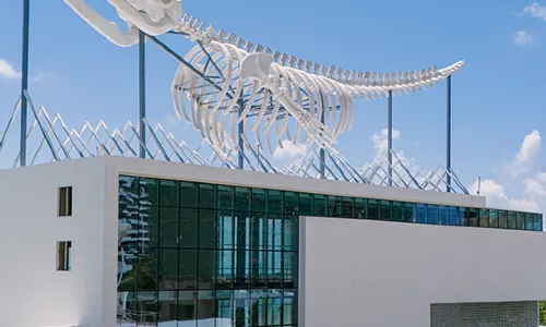 Asaka Silver Beach x Changxiangsi Seaview Family Hotel