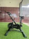 Tycoon Place Garden - palestra