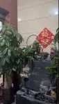 Wenshui Dasheng Hotel Hotels in Wenshui