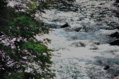 ホテルからの眺望 白壁荘の写真