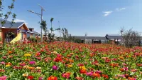 Zhaosu Racecourse Station Hotels in Zhaosu