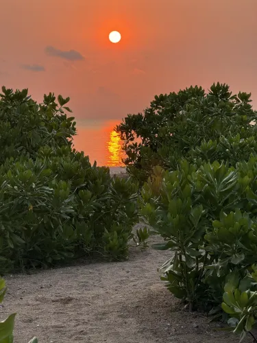 เตียงคู่